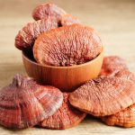 قارچ گانودرما(اکسیر جاودانگی طبیعت)